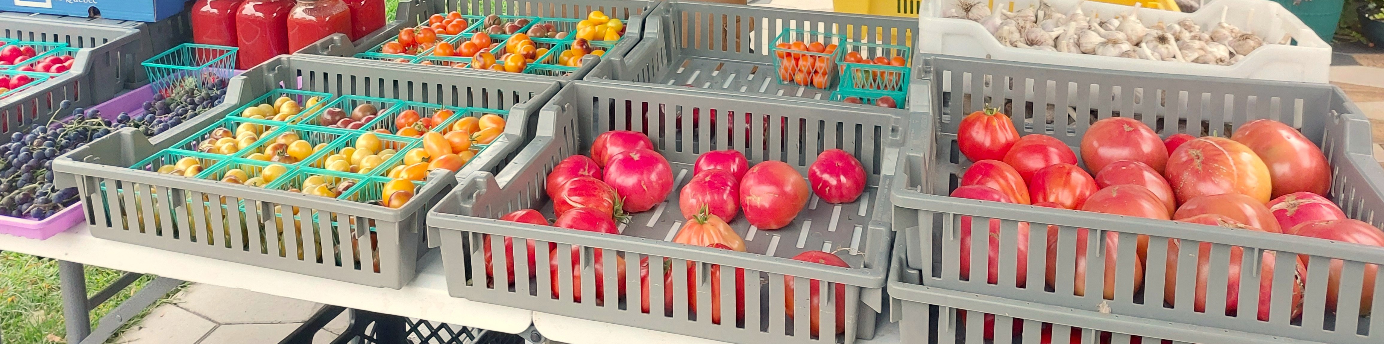 Jardin Street Pop Up